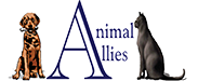 Animal Allies